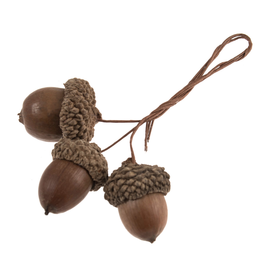 Natural Decorative Acorn Wire Picks - Thedanes.co.uk - Creative & Sustainable Living The Scandinavian Way