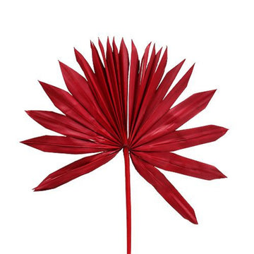 Natural Dried Sun Palm Spears - Red, 6 Stems - The Danes