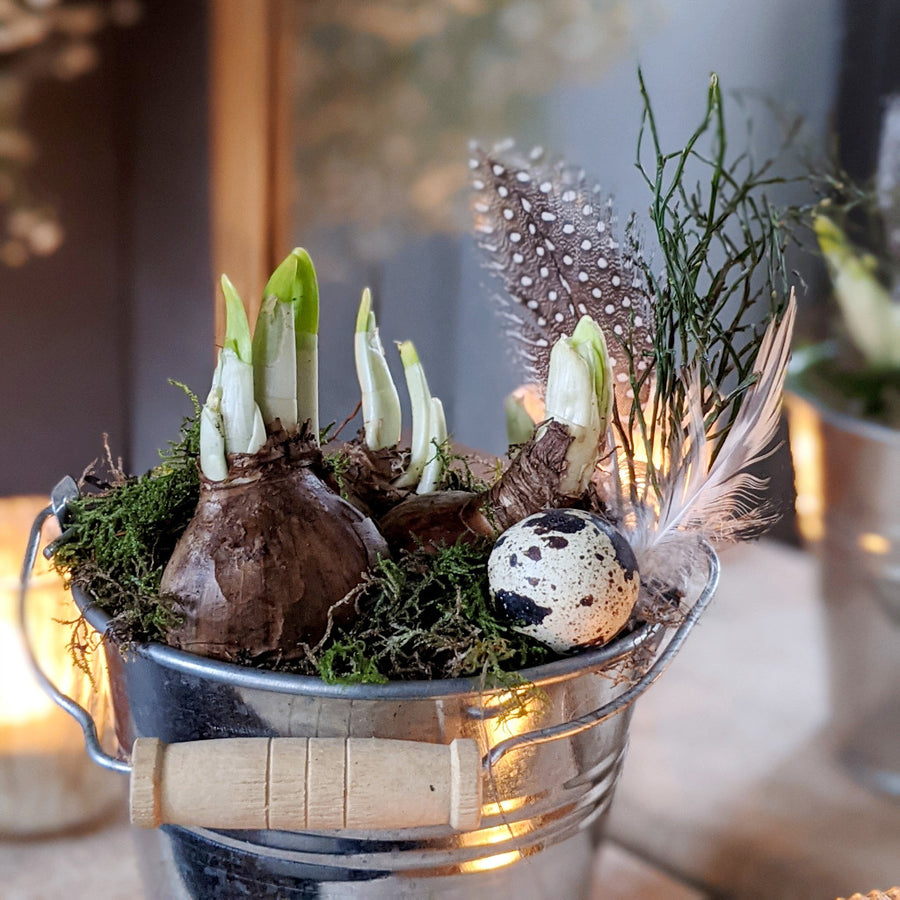 Easter Bucket with Spring Bulbs - The Danes