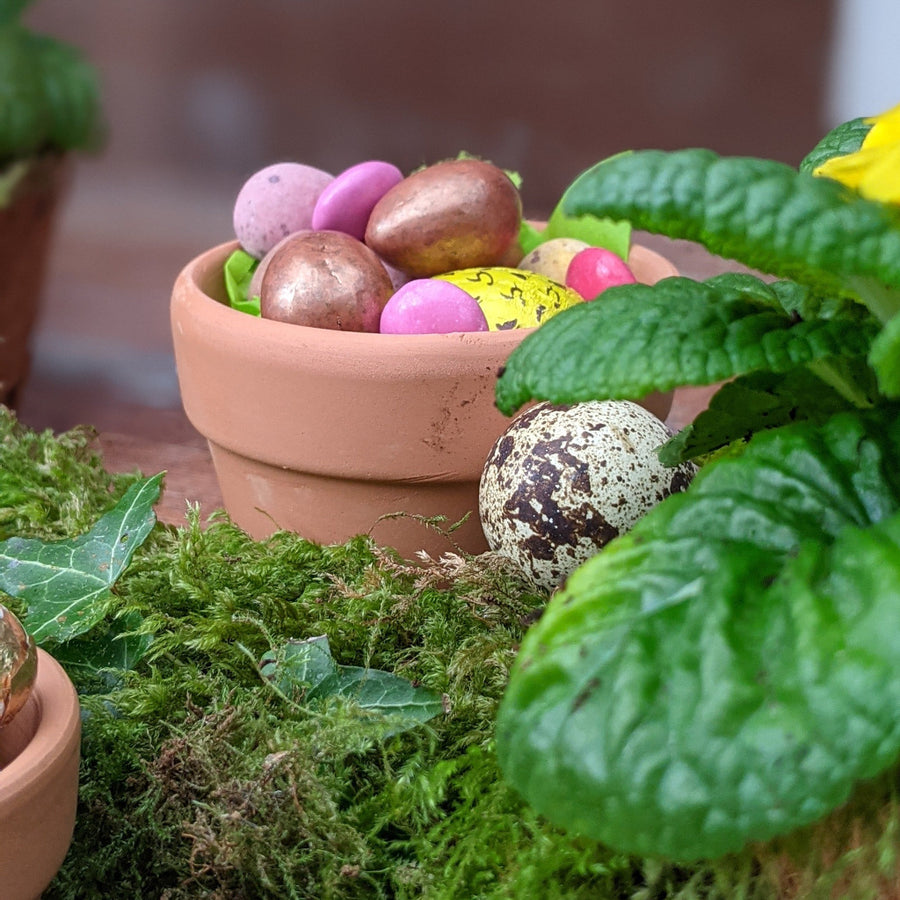 Easter & Spring Natural Tablescape In A Box - The Danes