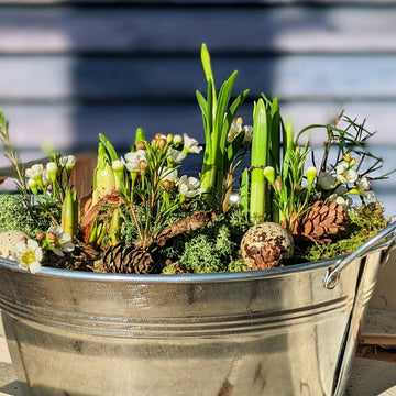 Spring Bulbs Planter With Quail Eggs & White Wax Flowers | 18cm or 24cm - Thedanes.co.uk - Creative & Sustainable Living The Scandinavian Way