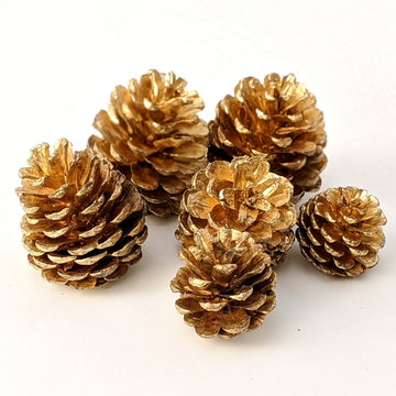 Gold Pine Cones - The Danes