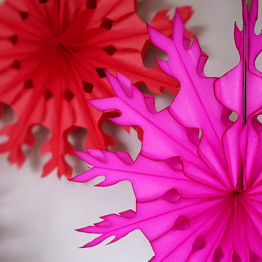 Honeycomb Tissue Paper Fans - Red & Pink - The Danes
