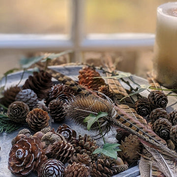 Natural Mixed Pine Cones - Assorted - The Danes