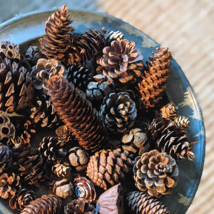 Natural Mixed Pine Cones - Assorted - The Danes