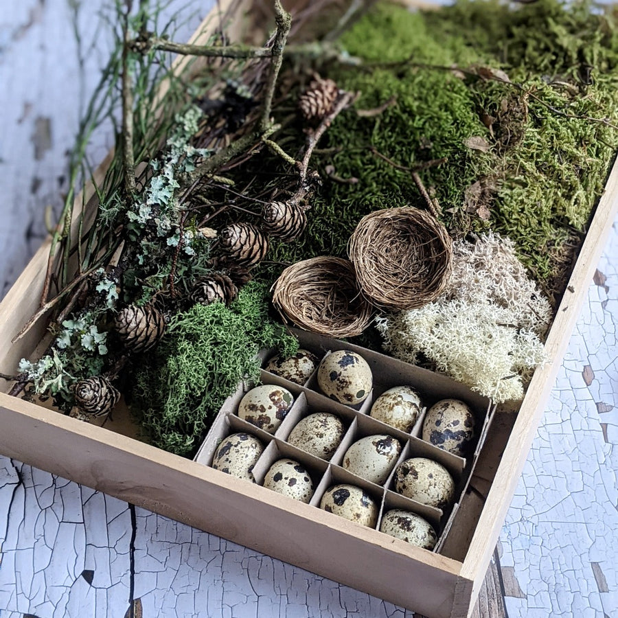 Natural Floristry Display Box - SPRING - The Danes