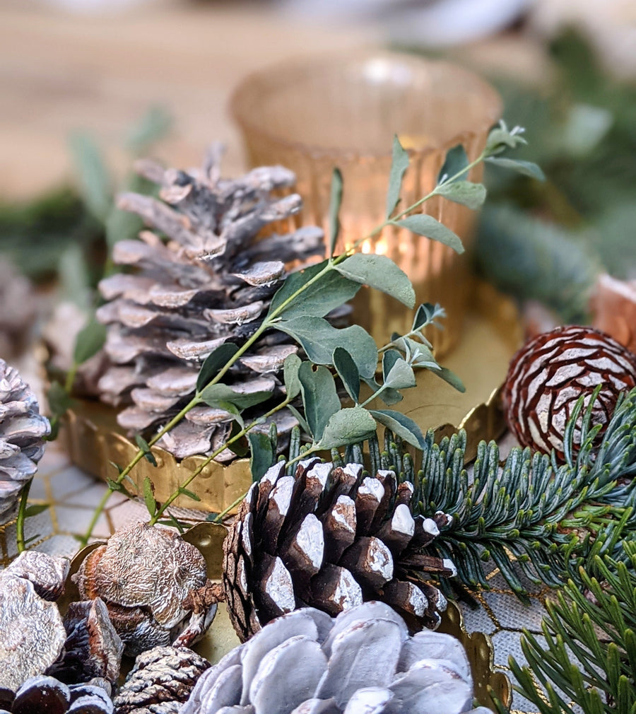 Natural Mixed Pine Cones - White Christmas - The Danes