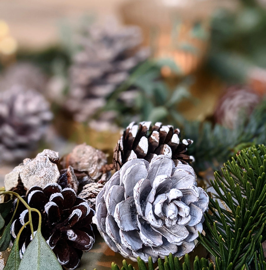 Natural Mixed Pine Cones - White Christmas - The Danes