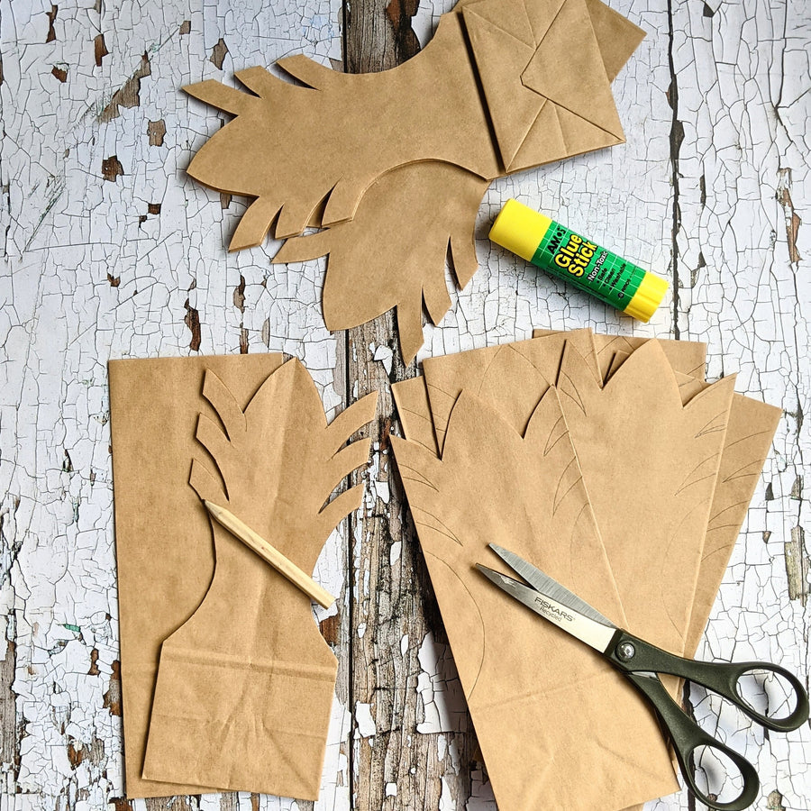 Paper Bag Star Craft Kit - The Danes