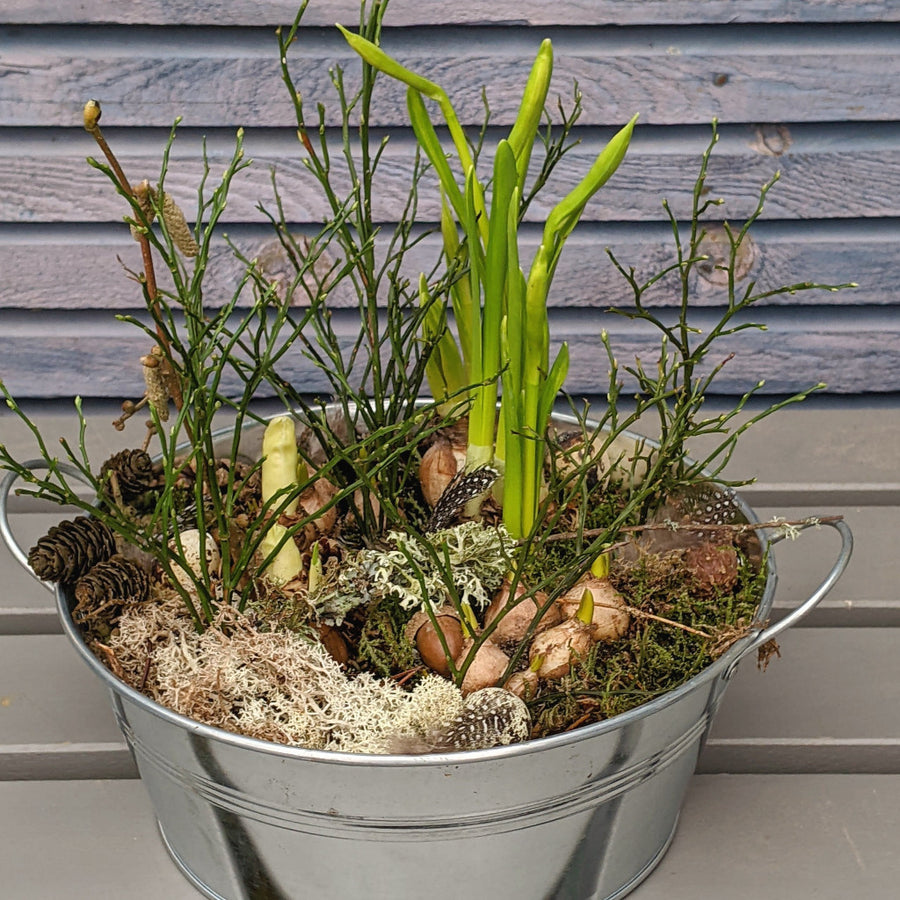 Zinc Planter With Spring Bulbs - Large - The Danes
