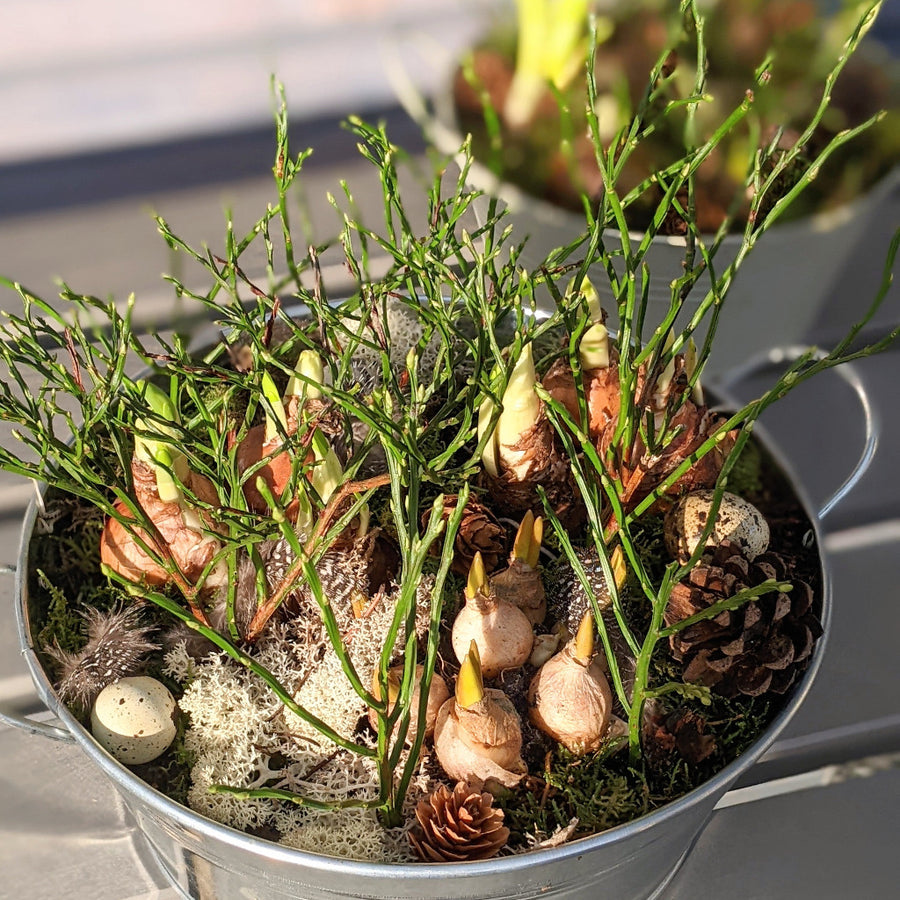 Zinc Planter With Spring Bulbs - Large - The Danes