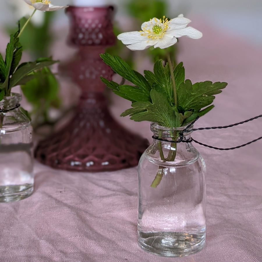 Mini Hanging Flower Bottles - Set Of 5 - The Danes