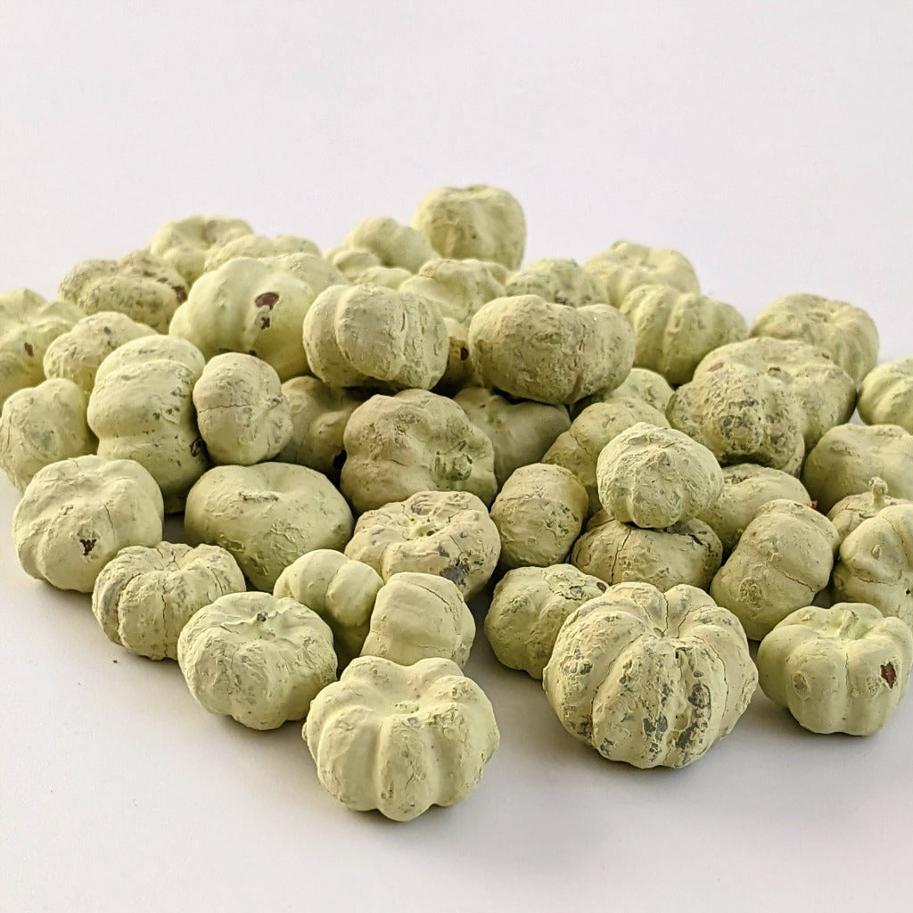Putka Pods | Dried Mini 'Pumpkin' Decorations - Lime Green - Thedanes.co.uk - Creative & Sustainable Living The Scandinavian Way