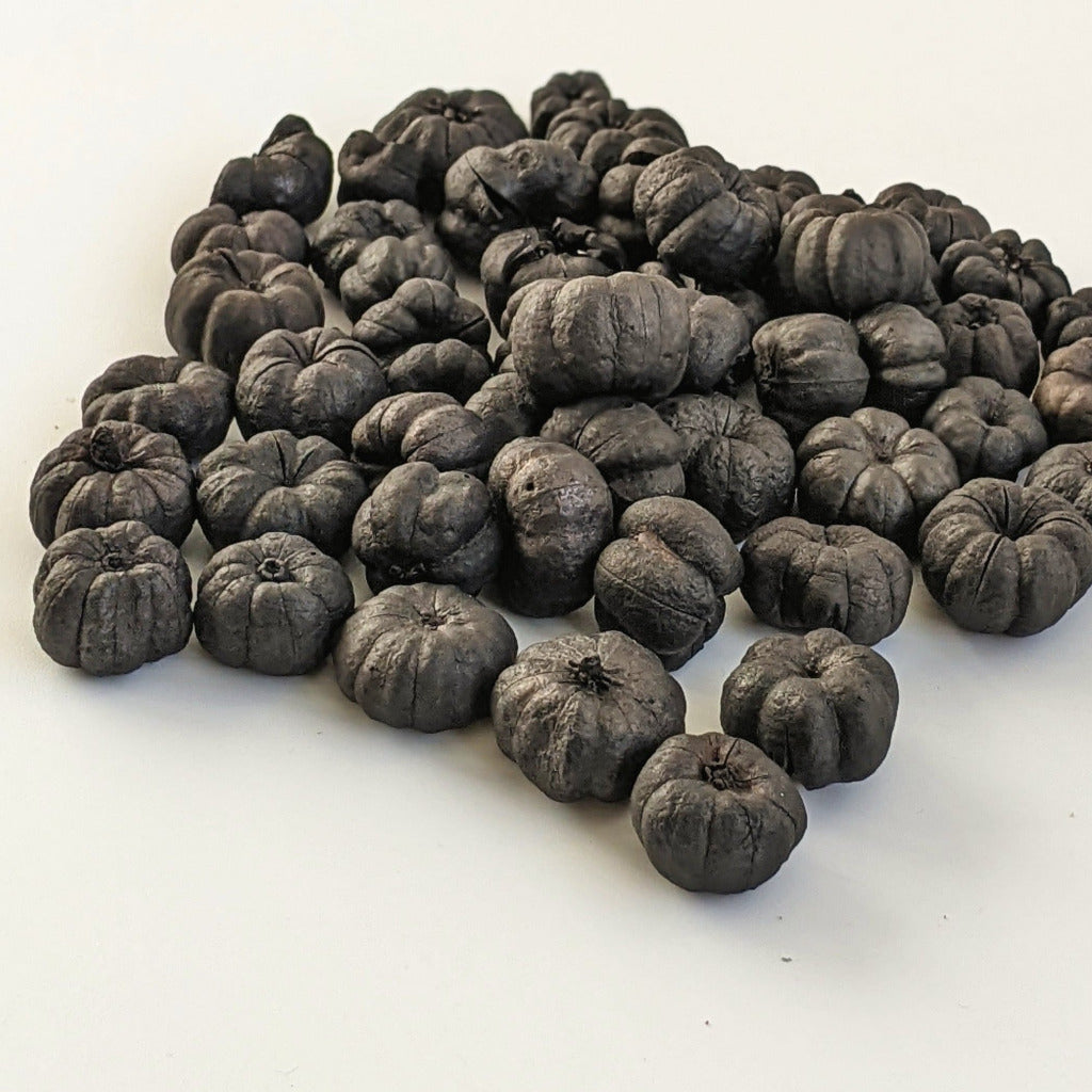 Putka Pods | Dried Mini 'Pumpkin' Decorations - Black - Thedanes.co.uk - Creative & Sustainable Living The Scandinavian Way