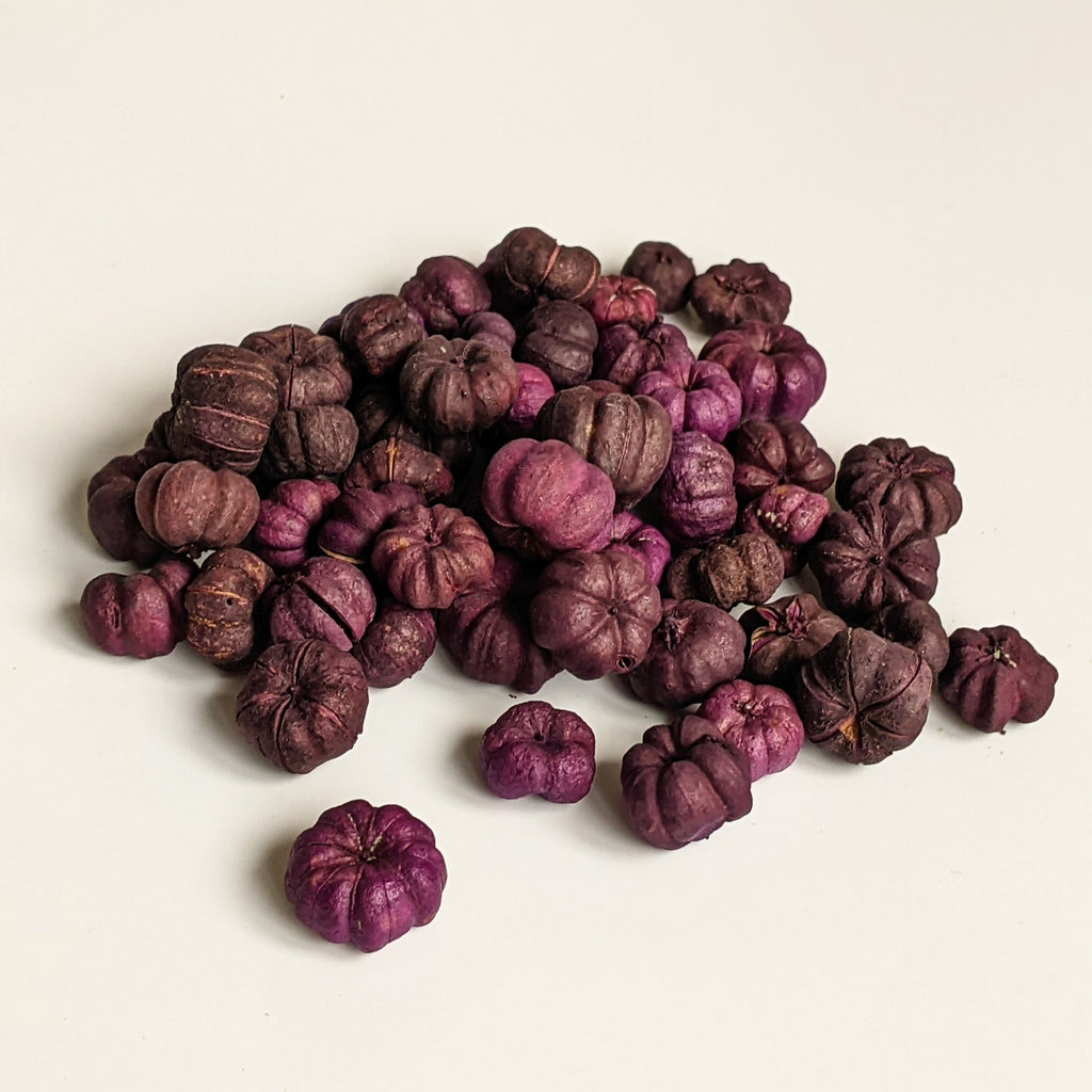 Putka Pods | Dried Mini 'Pumpkin' Decorations - Purple - Thedanes.co.uk - Creative & Sustainable Living The Scandinavian Way