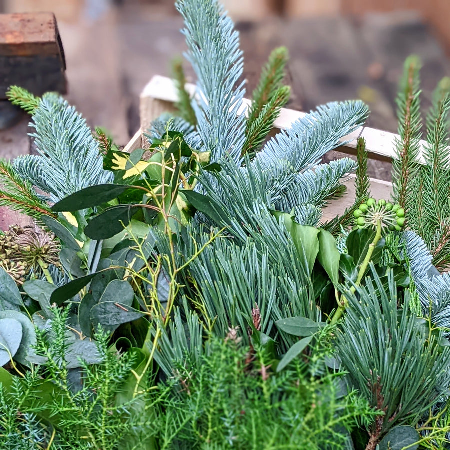 Large Fresh Foliage Floristry Display Box - CHRISTMAS - Thedanes.co.uk - Creative & Sustainable Living The Scandinavian Way