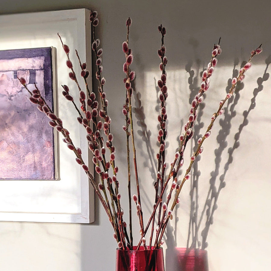 Pink Pussy Willow - Fresh Locally Cut Stems - Thedanes.co.uk - Creative & Sustainable Living The Scandinavian Way