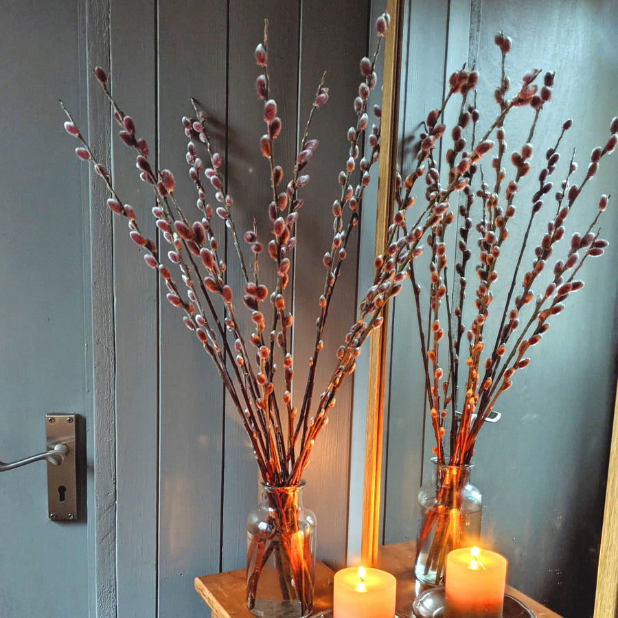 Pink Pussy Willow - Fresh Locally Cut Stems - Thedanes.co.uk - Creative & Sustainable Living The Scandinavian Way