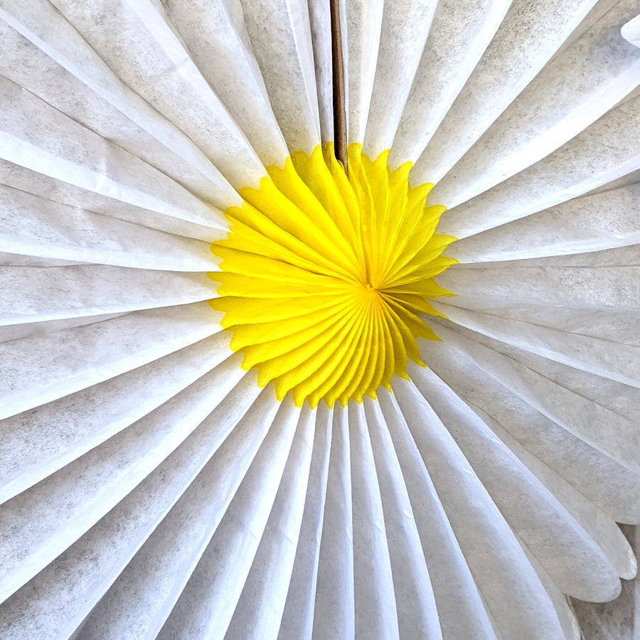 Daisy Flower & Yellow Honeycomb Paper Fans - 3 Sizes - The Danes