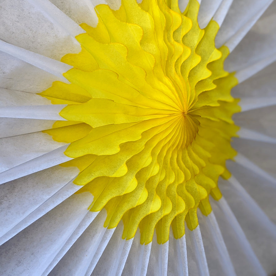 Daisy Flower & Yellow Honeycomb Paper Fans - 3 Sizes - The Danes