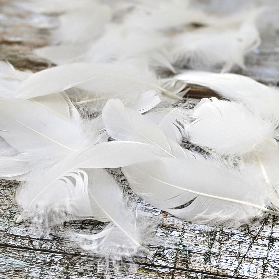 White Goose Feathers For Crafts - 3g - The Danes