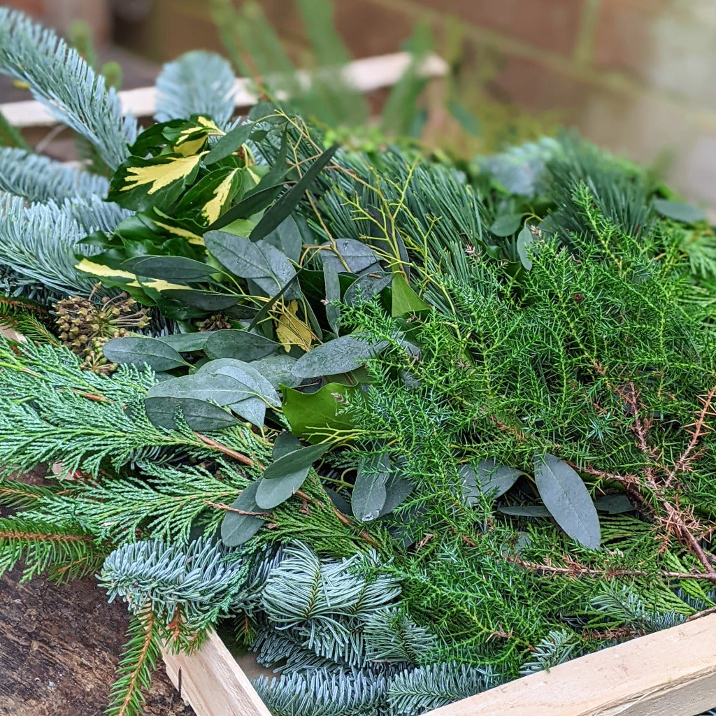Large Fresh Foliage Floristry Display Box - CHRISTMAS