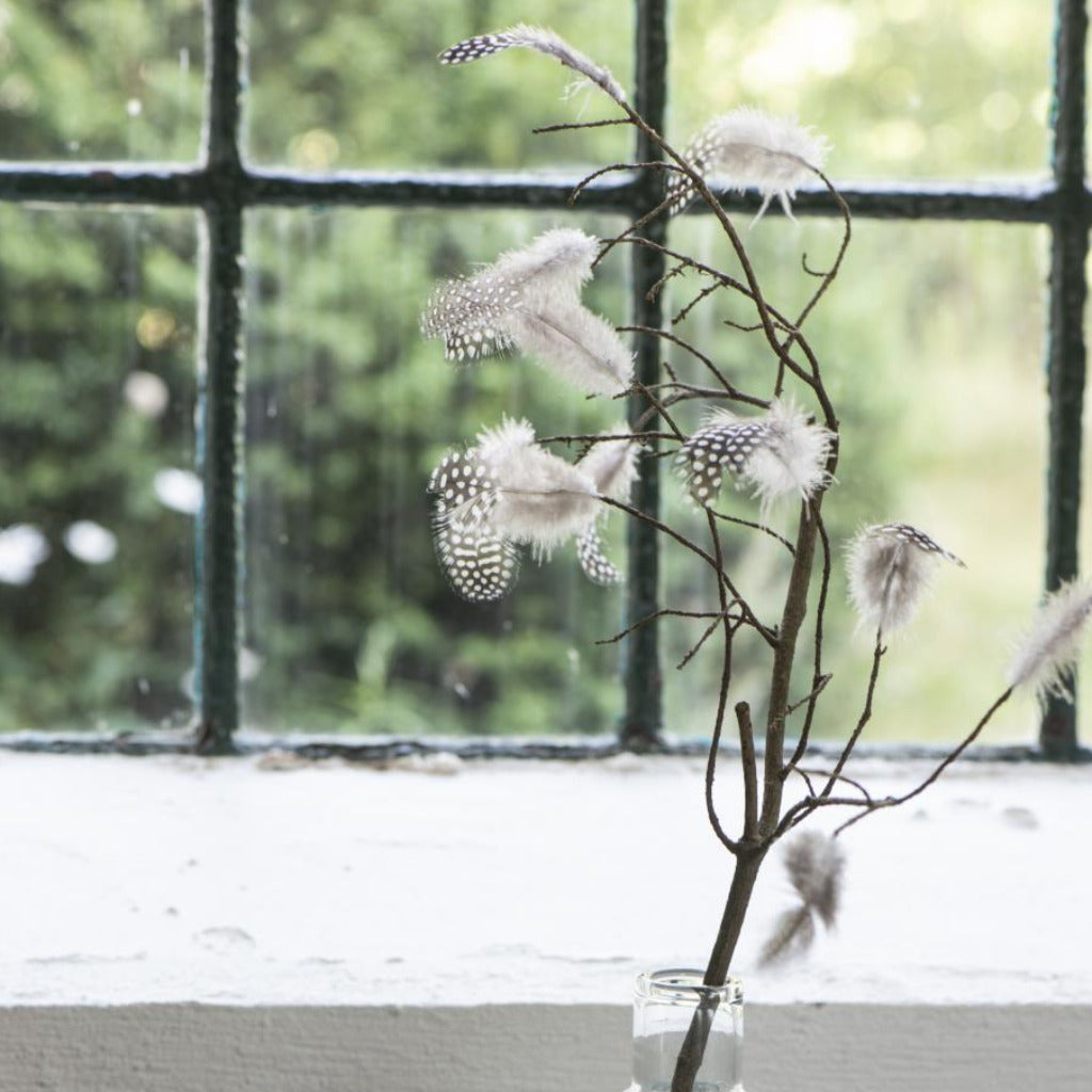 Guinea Fowl Feathers For Crafts - 3g - Thedanes.co.uk - Creative & Sustainable Living The Scandinavian Way