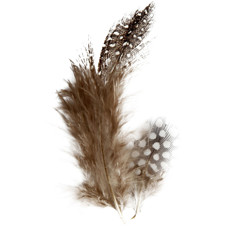 Guinea Fowl Feathers For Crafts - 3g - The Danes