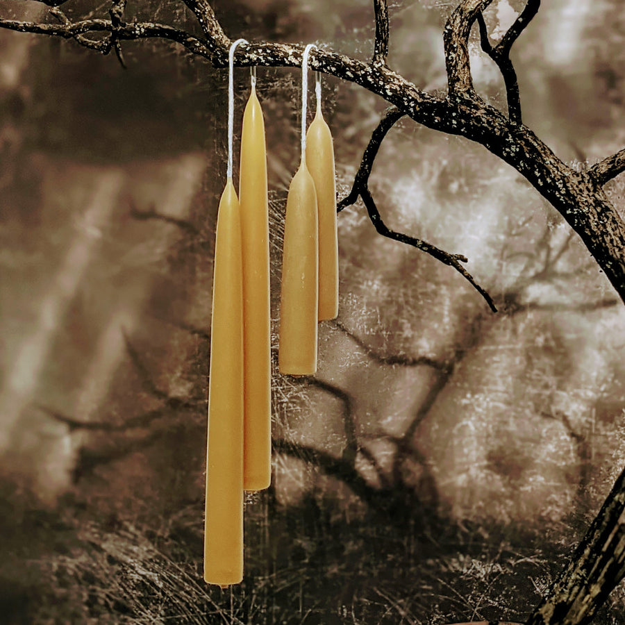 Handmade Dipped Beeswax Dinner Candles - 23cm - The Danes