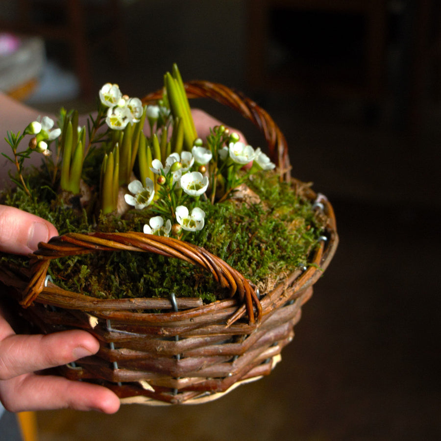 Spring bulb flower basket carried in hands