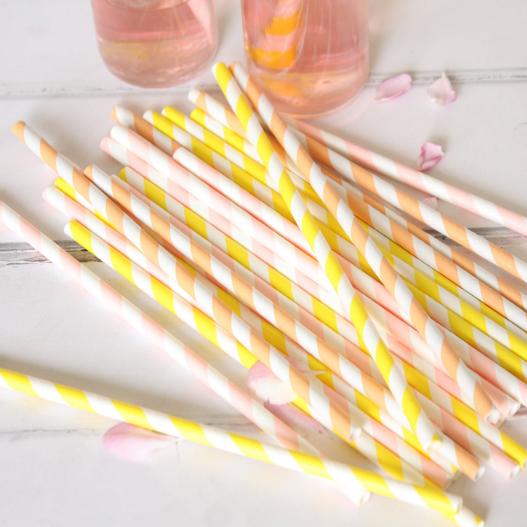 Paper Drinking Straws - Summer Sorbets - Thedanes.co.uk - Creative & Sustainable Living The Scandinavian Way