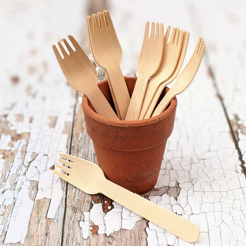 Biodegradable Wooden Cutlery, Forks, Spoons & Knives - The Danes